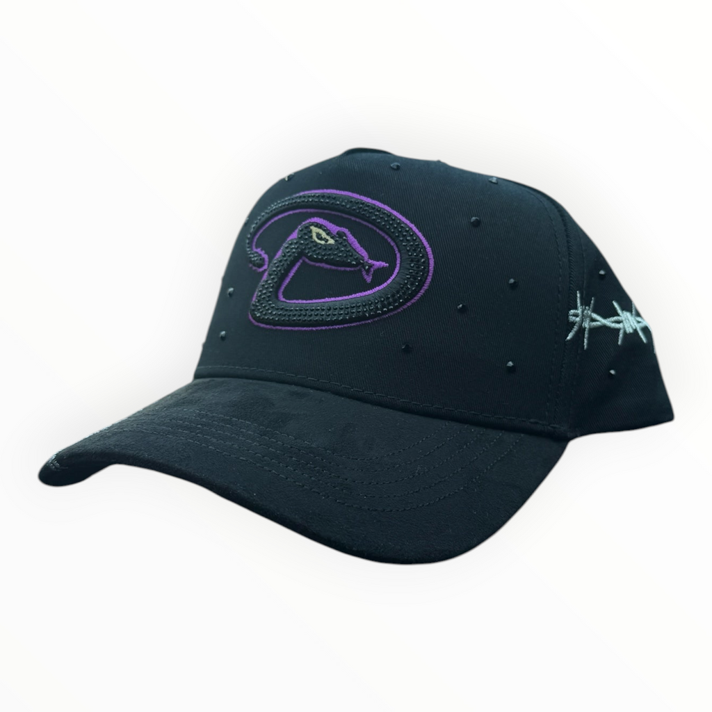 Hype Block black baseball cap with purple snake logo, barbed wire embroidery, and stud details on a car dashboard.