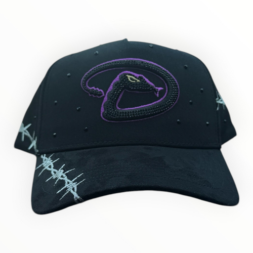 Hype Block black baseball cap with purple snake logo, barbed wire embroidery, and stud details on a car dashboard.